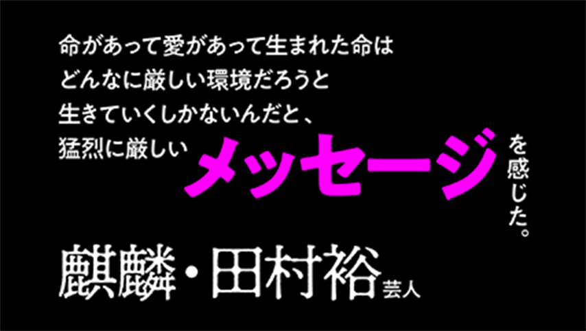 いつ、誰の身に、どんな出来事が起こるかなんて誰にもわからない。それでも命があって愛があって生まれた命はどんなに厳しい環境だろうと生きていくしかないんだと、猛烈に厳しいメッセージを感じた。予定調和では終わり得ない、とんでもない作品だ。麒麟・田村裕(芸人)